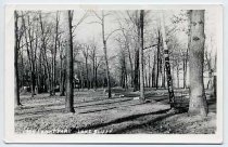 Postcard #88  Lake Front Park